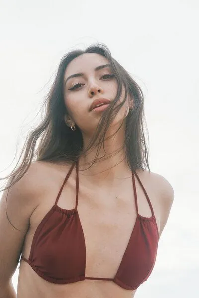 Anekdot Anekdot Bikini Top Low Versatile, Red (merlot), – Produktbild 3 von 4