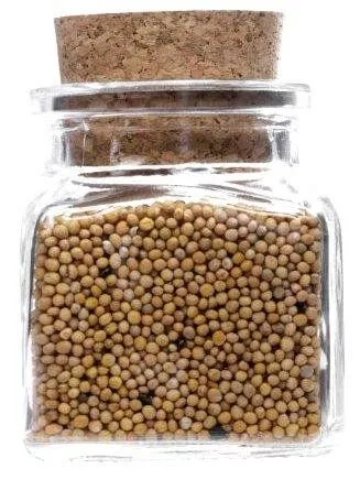 mikken mikken 12 Gewürzgläser eckig 120 ml mit Gewürzetiketten – Produktbild 3 von 4