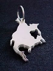 S.W.w. Schmuckwaren S.W.w. Schmuckwaren NORDAMERIKA Kettenanhänger in 925 Silber – Produktbild 1 von 1