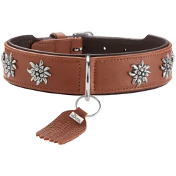 Dog Sport Dog Sport HUNTER Hundehalsband münchen cognac M – Produktbild 1 von 1