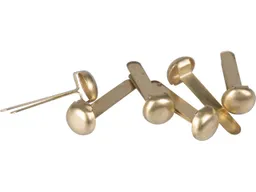 Musterbeutelklammern mit rundem Kopf, 17 mm, vermessingt, 100 Stk. – Produktbild 1 von 1