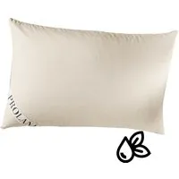 Prolana Prolana Kautschuk-Flocken-Kissen 40x60cm S.1200g Kaut.Flocken – Produktbild 1 von 1