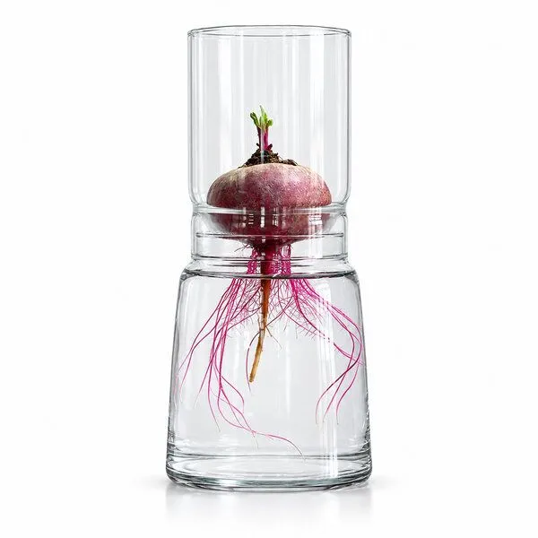 Happy Soul Happy Soul Keimglas ø 13 cm – Produktbild 7 von 7