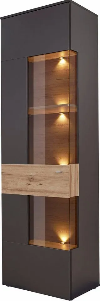 FORTE Vitrine Como Vitrine, Glastüre, LED Beleuchtung, Soft Close Linksanschlag, Grau, – Produktbild 3 von 8