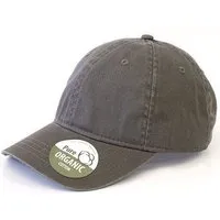 Brain Waves Basecap Organic Cotton Brain Waves 6 - Panel Cap Kappe, Charcoal, – Produktbild 1 von 1