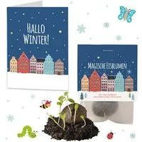 Ideenverlag Hamburg Ideenverlag Hamburg 10 „Winterlandschaft“ Samenbomben im Tütchen mit Kaltkeimer-Saatgut + 10 Gratis Geschenk Grußkarten / Weihnachtsgruß/Wichtelgeschenk/Weihnachtsgeschenk – Produktbild 1 von 1