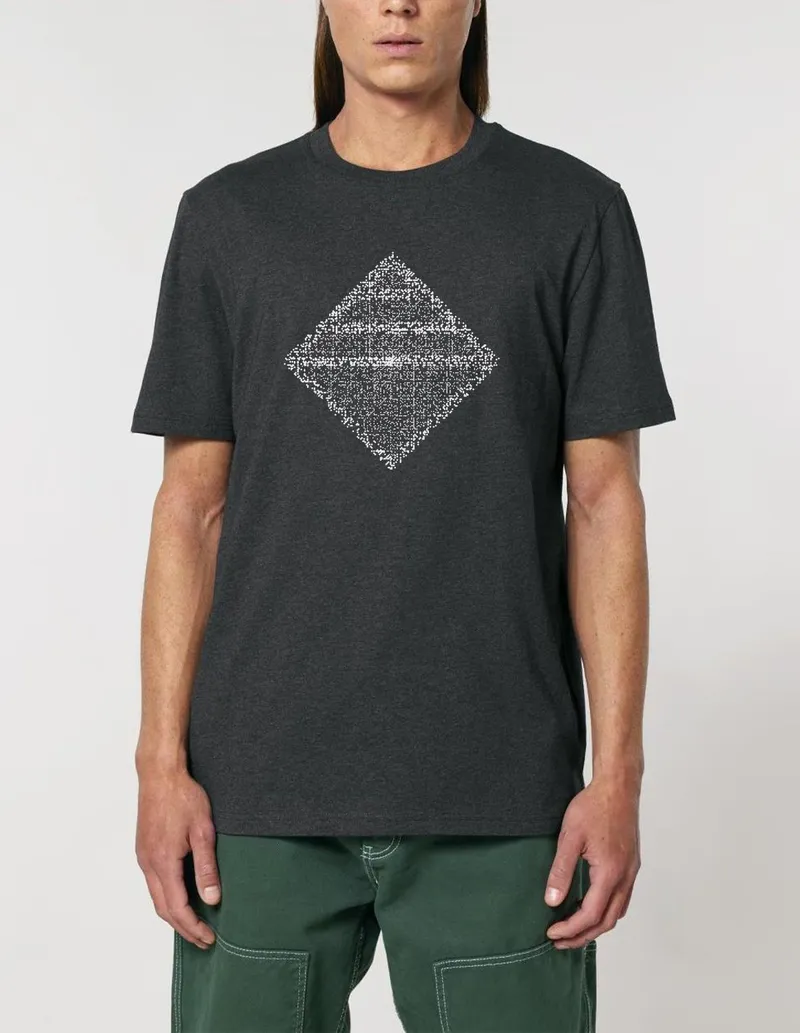 UNIPOLAR UNIPOLAR Mathematik T-Shirt Primspirale, Dark heather grey, – Produktbild 1 von 1