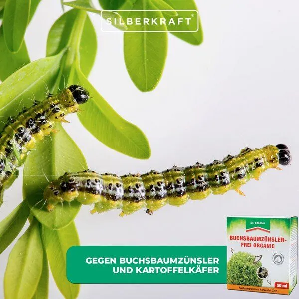Silberkraft Silberkraft Buchsbaumzünsler-Frei Organic: Schützt effektiv vor Schadinsekten – Produktbild 3 von 4