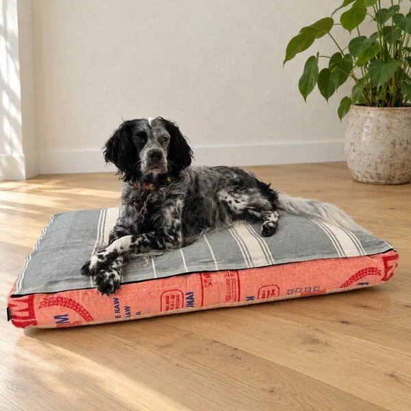 GOOPSI GOOPSI Hundebett mit BIO-Baumwollfüllung, Lachs, – Produktbild 6 von 6