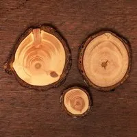Himal Hemp Himal Hemp Zirbenholzschmuck Ø2-3cm, verschiedene Motive, aus Österreich – Produktbild 1 von 1