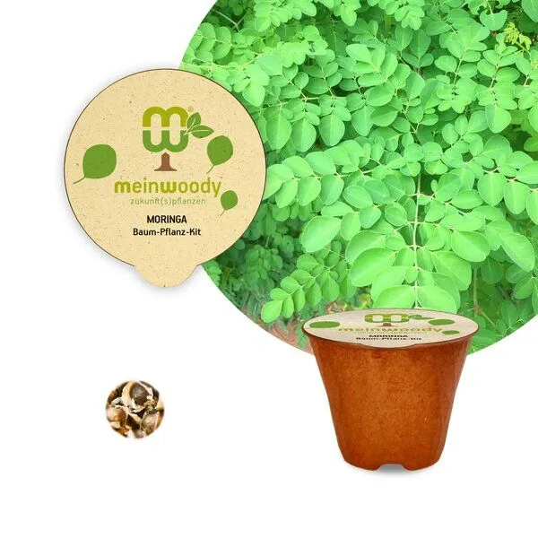 meinwoody meinwoody Baum-Pflanz-Set – Produktbild 5 von 8