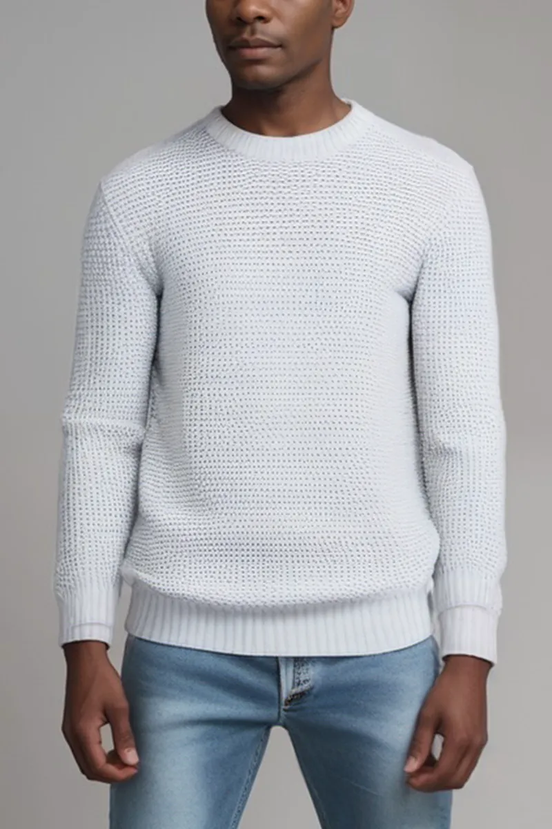 Will's Vegan Store Will's Vegan Store Herren vegan Pullover Chunky Rib Stricken Grau, Hellgrau, – Produktbild 2 von 2