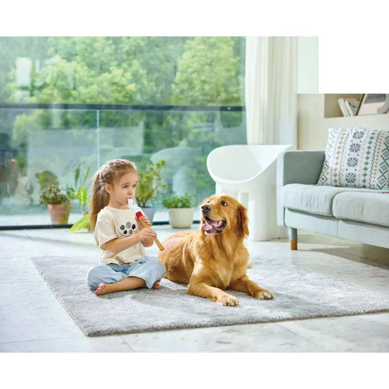 Hape Hape Blockflöte Musikbeginner, Mehrfarbig, – Produktbild 2 von 3