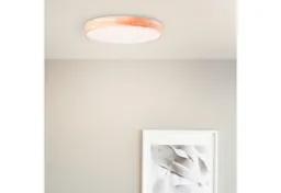 BreLight LED Wandleuchte Slimline, CCT - über Fernbedienung, Dimmfunktion, Nachtlichtfunktion, Timerfunktion, LED fest integriert, warmweiß - kaltweiß, D 50 cm, 3800 lm, 3000-6500 K, CCT, dimmbar, Holz hell/weiß – Produktbild 1 von 1