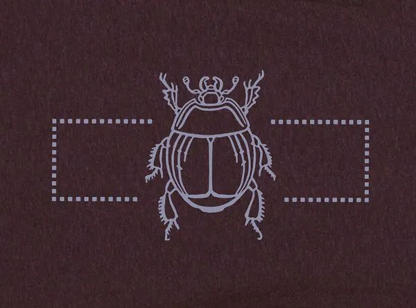 little kiwi little kiwi Herren T-Shirt, "Skarabäus" – Produktbild 2 von 3