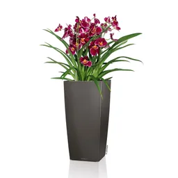 Lechuza® Lechuza® 'Cubico Premium 22', anthrazit, ca. 22 x 22 x H 41 cm – Produktbild 1 von 1