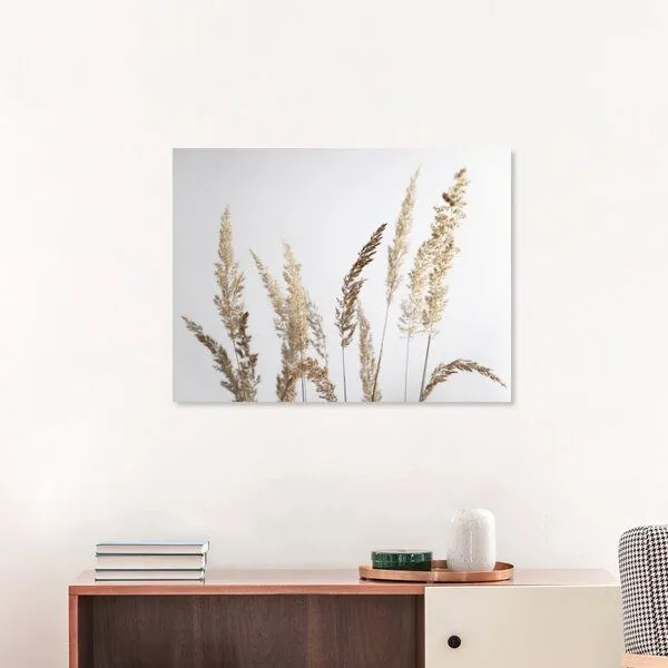 Photocircle Photocircle Poster / Leinwandbild - glorious golden PAMPAS grass – Produktbild 1 von 4