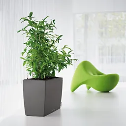 Lechuza® Lechuza® Pflanzkübel Pflanzgefäß Cararo anthrazit metallic – Produktbild 1 von 1