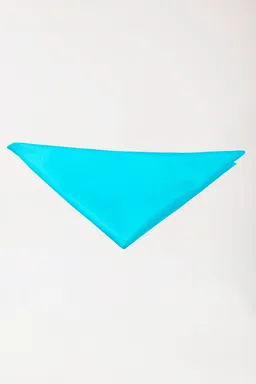 BERUFSBEKLEIDUNG Gastro Halstuch Unisex, türkis - Berufsbekleidung.de – Produktbild 1 von 1