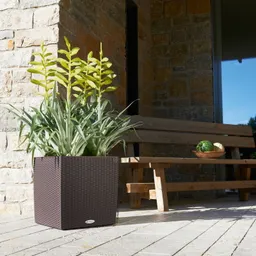 Lechuza® Lechuza® 'Cube Cottage 50', mokka, ca. 49 x 49 x H 49,5 cm – Produktbild 1 von 1