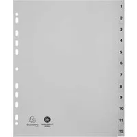 Exacompta 10 Exacompta Register, 12 Taben numerisch, 120 µ, DIN A4 Maxi, grau – Produktbild 1 von 1