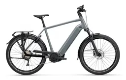 Koga Koga Pace B05 Grau 2026 – Produktbild 1 von 1