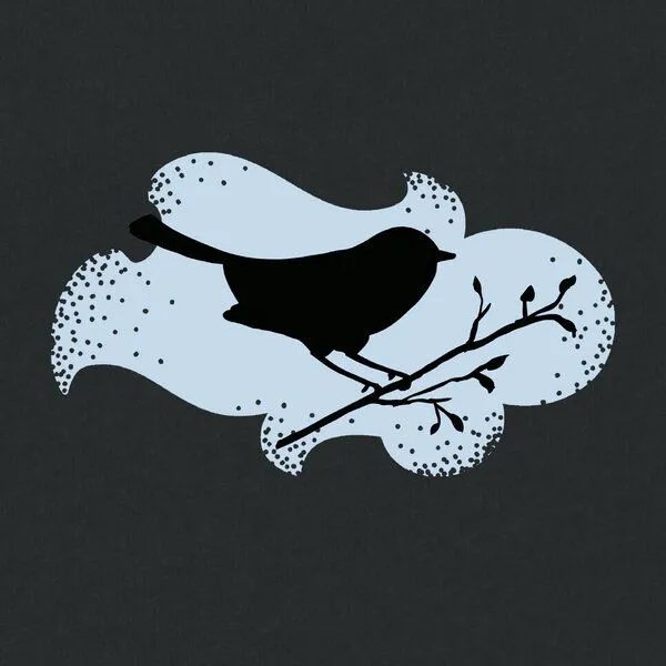 Spangeltangel Spangeltangel T-Shirt bedruckt, "Vogel", nachhaltig, Biobaumwolle, Brustprint, unisex, bio, Tiere, Vogel,, Schwarz, – Produktbild 2 von 3