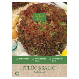 Kölle Bio Kölle Bio Gemüsesamen, Pflücksalat 'Lollo rossa' – Produktbild 1 von 1