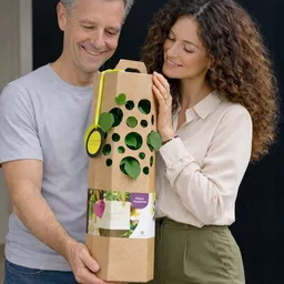 SchenkeinBäumchen SchenkeinBäumchen Wunschbaum – Produktbild 1 von 1