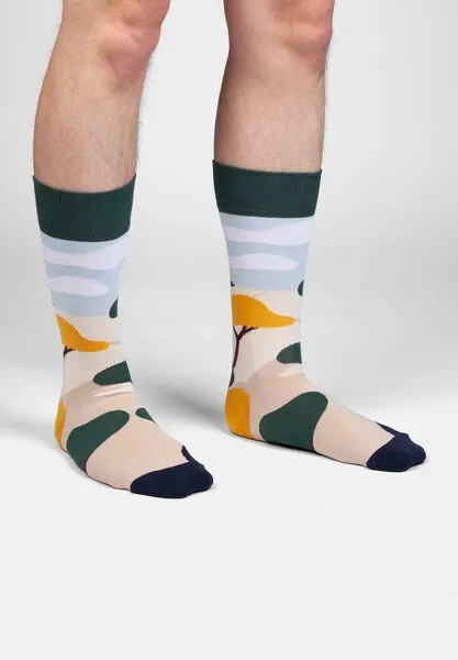 DillySocks DillySocks Socken „Prairie Diary“, Blau grün braun, – Produktbild 2 von 4
