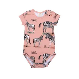 Walkiddy Baby Kurzarmbody GOTS zertifiziert Bio-Baumwolle Rosa Zebra-Print – Walkiddy – Produktbild 1 von 1
