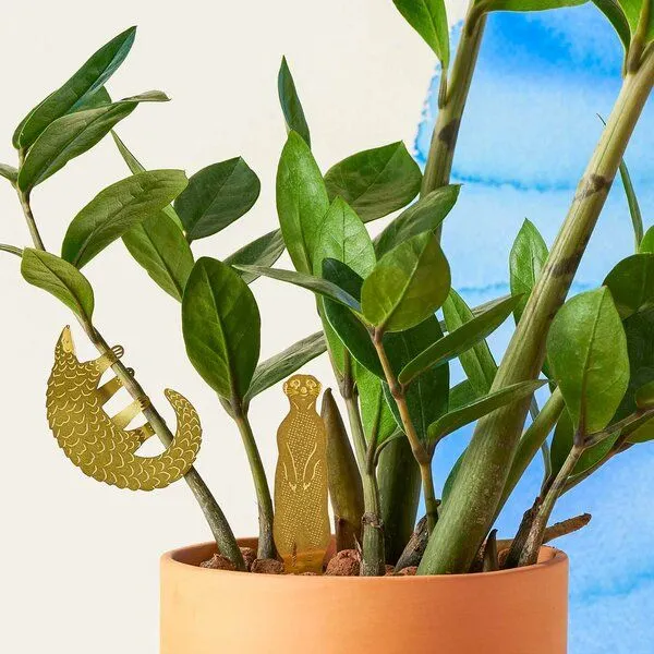 another studio another studio Plant Animal - Design Pflanzendekoration - Figuren aus Messing, Specht, – Produktbild 2 von 4