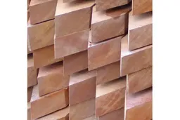 woodstore24 Bongossi Pfähle 40 x 60 mm, sägerau angespitzt, 2,00 m lang – Produktbild 1 von 1