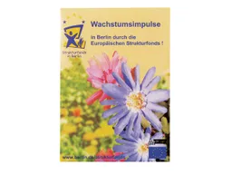 Bio Samentütchen 'Ringelblume' mit 1-4 farbigem individuellem Aufdruck – Produktbild 1 von 1