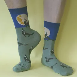 Fräulein Prusselise Fräulein Prusselise Wolfs Mond Socken, Story, blau, grün, bunt gemustert – Produktbild 1 von 1