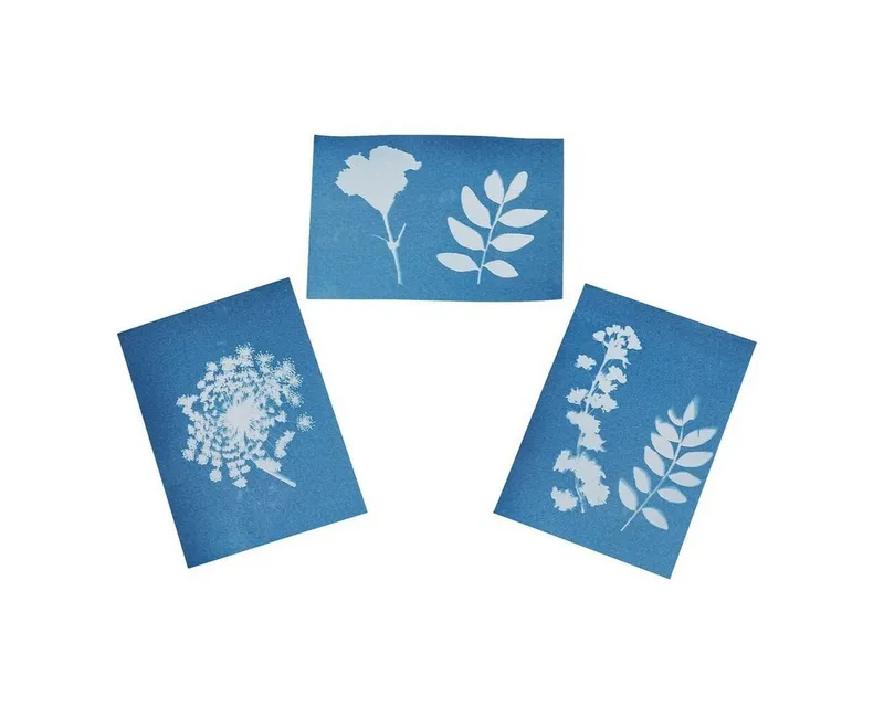 Moses Verlag Moses Verlag Spielzeug-Gartenset Blatt- & Blütenpresse mit Sonnendruckpapier für Kinder ab 6 – Produktbild 3 von 4