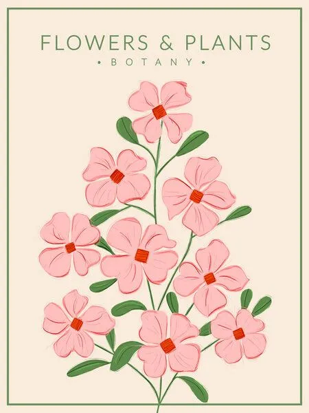 Photocircle Photocircle Poster / Leinwandbild - Soft Pink Flowers - Botany no4 – Produktbild 1 von 4
