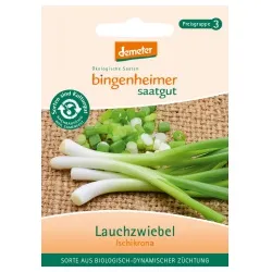 Bingenheimer Saatgut Lauchzwiebeln Ischikrona – Produktbild 1 von 1