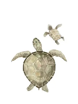 Photocircle Photocircle Poster / Leinwandbild - Sea Life - Turtles – Produktbild 1 von 1