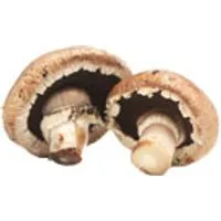 Deutschland Steinchampignons – Produktbild 1 von 1