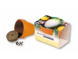 Mini-Pflanzset 'Frohe Ostern' im Tontöpfchen inkl. 1-4 farbigem Aufdruck – Produktbild 1 von 1