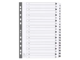 Exacompta 15 Exacompta Register, 20 bedruckte Taben numerisch, 160 g/m², DIN A4, weiß – Produktbild 1 von 1