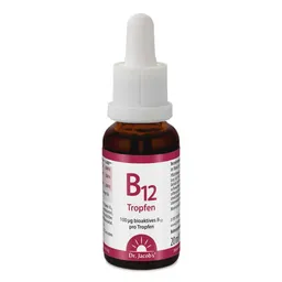 Dr. Jacob's Dr. Jacob's Vitamin B12 Tropfen 100 mcg Methylcobalamin vegan – Produktbild 1 von 1