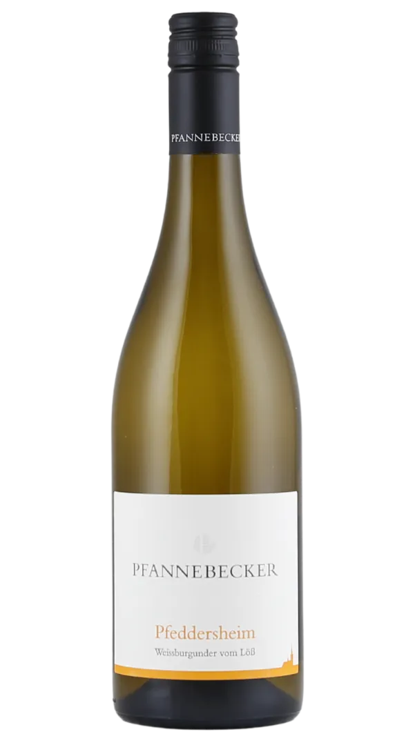 Weingut Pfannebecker Weingut Pfannebecker Pfannebecker Weissburgunder Pfeddersheim 2022 – Produktbild 1 von 1