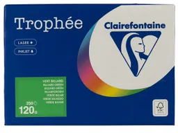 Clairefontaine 250 Blatt Clairfontaine Farbiges Kopierpapier "Trophee" 120 g/m², DIN A4, billiardgrün – Produktbild 1 von 1