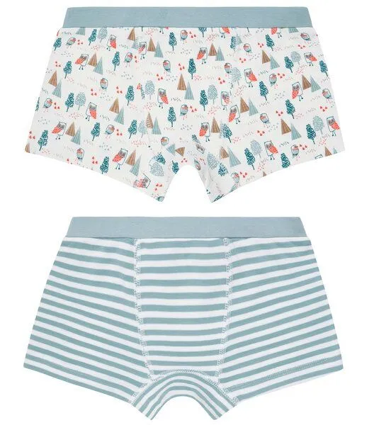 Sense Organics & friends in cooperation with GARY MASH Sense Organics & friends in cooperation with GARY MASH Jungen Boxershorts Doppelpack, Bäume, Blau, – Produktbild 1 von 4