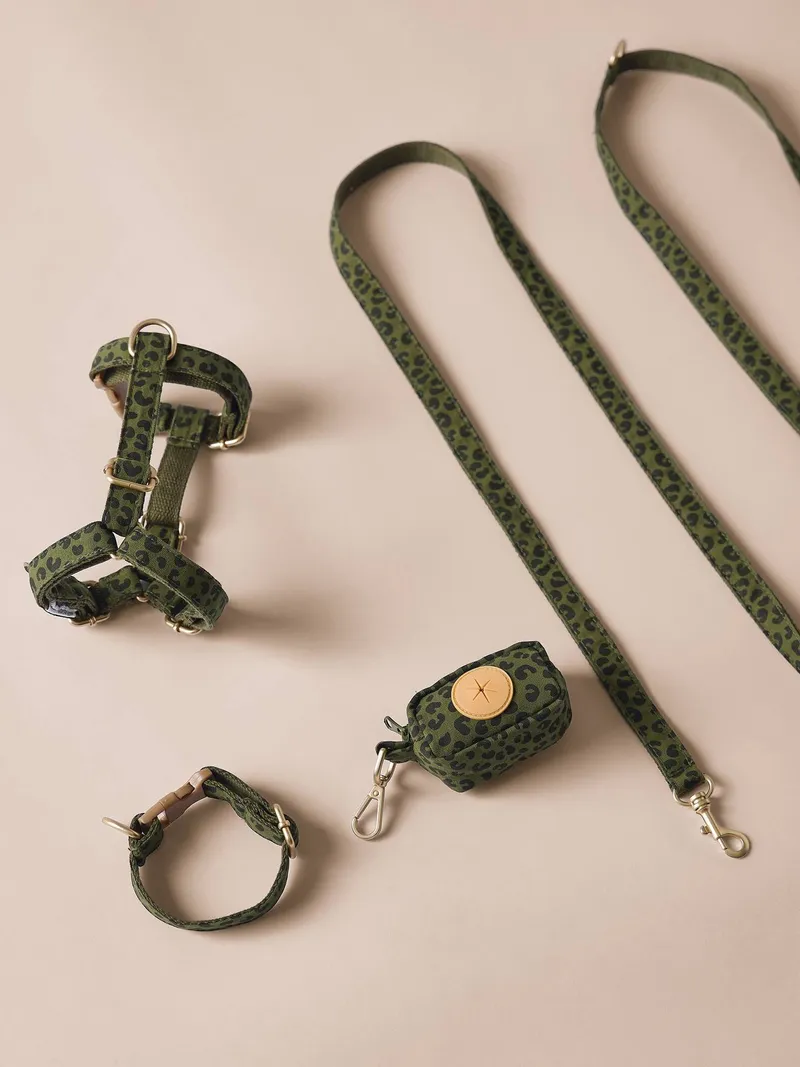 Vertbaudet 4-teiliges Gassi-Set für Hunde mit Hundegeschirr, Khaki, – Produktbild 2 von 7