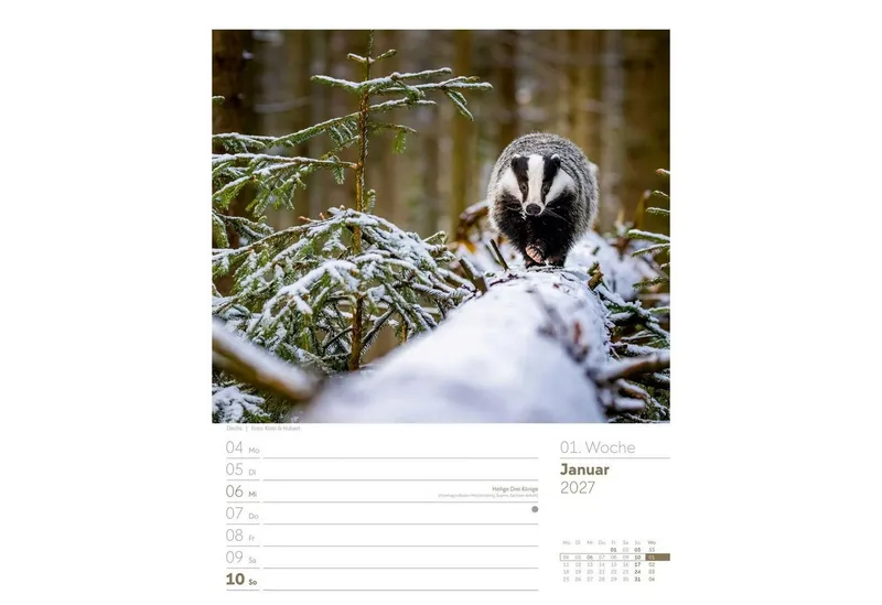 Ackermann Wandkalender Unser Wald Wochenplaner Kalender 2027 – Produktbild 4 von 5