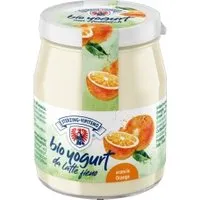 Gen Milchhof Sterzing Joghurt mit Orange aus Heumilch g.t.S. – Produktbild 1 von 1