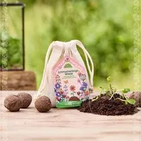 Die Stadtgärtner Die Stadtgärtner Schmetterlingswiese I Samenbomben für Schmetterlinge I Seedbombs I Geschenk für Gärtner und Naturliebhaber – Produktbild 1 von 1